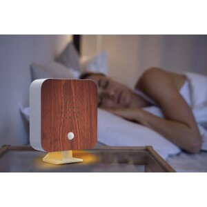 Naturgeräuschebox Vogel Gesang Vogelzwitscher Box Bewegungsmelder Vogelgeräusche - Kirschholz / Cube