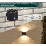 LED Solar Wandleuchte mit Bewegungsmelder Up & Down-Technik, Warmweiß, Ideal für - Zylinder