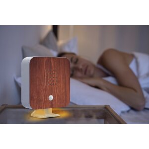 B-Ware Naturgeräuschebox Vogel Gesang Vogelzwitscher Box Bewegungsmelder Vogelgeräusche Licht