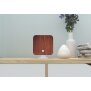 B-Ware Naturgeräuschebox Vogel Gesang Vogelzwitscher Box Bewegungsmelder Vogelgeräusche Licht