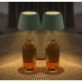 2er-Set LED Akku Tischlampe Flaschenlampe Tischleuchte mit Touchsensor 3000mAh - 2er-Set olivegrün