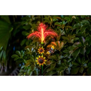 LED Solar Sonnenblume 2er-Set Gartenstecker mit Fiber Beleuchtung Glasfaser - 2er-Set RGB