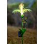 LED Solar Sonnenblume 2er-Set Gartenstecker mit Fiber Beleuchtung Glasfaser - 2er-Set RGB