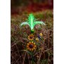 LED Solar Sonnenblume 2er-Set Gartenstecker mit Fiber Beleuchtung Glasfaser - 2er-Set RGB