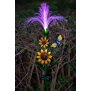 LED Solar Sonnenblume 2er-Set Gartenstecker mit Fiber Beleuchtung Glasfaser - 2er-Set RGB