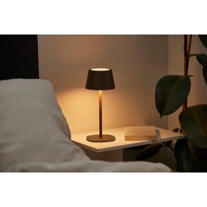 3in1 LED Tischlampe Flaschenleuchte max. 45cm hoch mit 3000mAh Akku 200lm warmweißes Licht - Taupe
