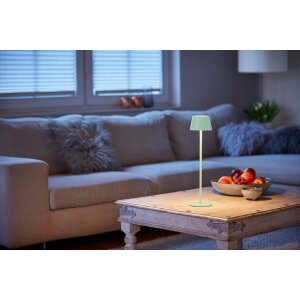 Northpoint 3in1 LED Tischlampe Flaschenleuchte max. 45cm hoch mit 3000mAh Akku 200lm warmweißes Licht (3000K) stufenlos dimmbar für Innen und Außen Hellgrün