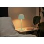 Northpoint 3in1 LED Tischlampe Flaschenleuchte max. 45cm hoch mit 3000mAh Akku 200lm warmweißes Licht (3000K) stufenlos dimmbar für Innen und Außen Hellgrün