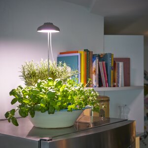 LED 7W Pflanzenleuchte 2er-Set Pflanzenlampe Pflanzenbeleuchtung 70cm Teleskopstab - Grau 2er-Set