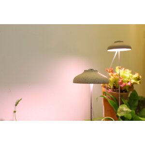 LED 7W Pflanzenleuchte 2er-Set Pflanzenlampe Pflanzenbeleuchtung 70cm Teleskopstab - Grau 2er-Set