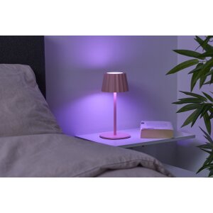 3in1 LED Tischlampe Flaschenleuchte max. 45cm hoch mit 3000mAh Akku 200lm warmweiß - Plissee pink