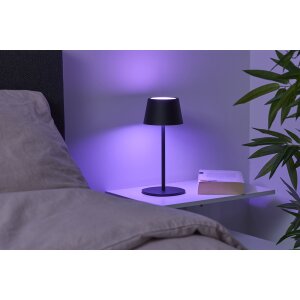 3in1 LED RGB Tischlampe Flaschenleuchte max. 45cm hoch mit 3000mAh Akku 200lm warmweiß und - schwarz