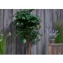 Northpoint LED Solar Laterne Heißluftballon Windlicht Kunststoff Garten Dekoration Solarpanel 2er-Set Grün Pink Türkis Blumenmuster