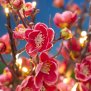 LED Pflanze Dekozweige Pfirsichblüte Pfirsichzweige Lichterzweige Dekoration 54cm hoch Timerfunktion inkl. Batterien 16 warmweiße LED
