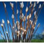 LED Pflanze Dekozweige Weidenzweige Weidenkätzchen Lichterzweige Dekoration 50cm hoch Timerfunktion inkl. Batterien 18 warmweiße LED