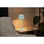 B-Ware Northpoint 3in1 LED Tischlampe Flaschenleuchte max. 45cm hoch mit 3000mAh Akku 200lm warmweißes Licht (3000K) stufenlos dimmbar für Innen und Außen Babyblau