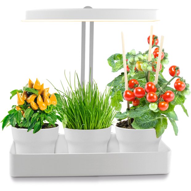 LED Pflanzenleuchte Gewächslampe 22W 1350 Lumen 10 Setzlinge Höhenverstellbar Wasserstandsanzeige