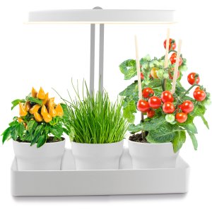 Northpoint LED Pflanzenleuchte Kräutergarten aus Echtholz 9W 550 Lumen Timer 