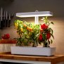 LED Hydroponisches Anzuchtsystem Pflanzenleuchte Gewächslampe 22W 1350 Lumen 10 Setzlinge Höhenverstellbar Wasserstandsanzeige