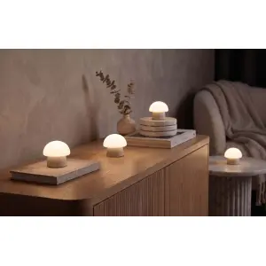 Northpoint Mushroom Lounge Lights LED Pilzleuchten mit Ladestation USB-C Akku IP44 für Innen Außen Touch Sensor warmweiß Farbwechsel Flackereffekt Tischlampe Garten Balkon Deko 4er-Set beige