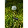B-Ware LED Solar Gartenstäbe Außenbereich automatische Beleuchtung umweltfreundlich einfache Installation wetterbeständig Pusteblume