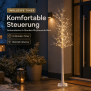 LED-Lichtbaum Birkenoptik 150 cm - 240 neutralweiße LEDs, Timer, IP44 für innen & außen